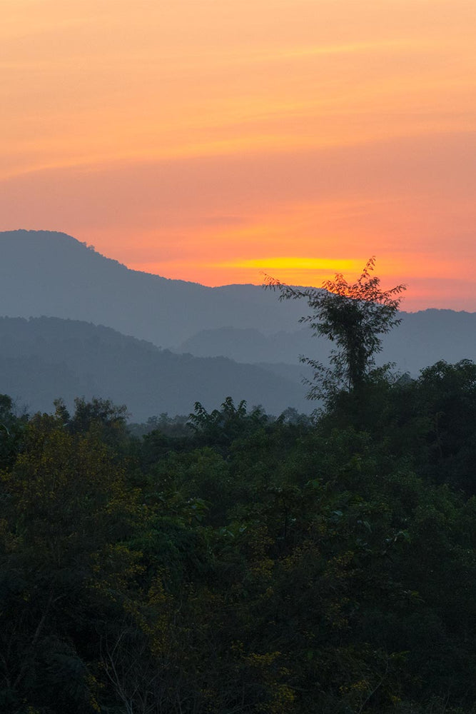 Vivid pink sunset behind layered hills over rubber trees.